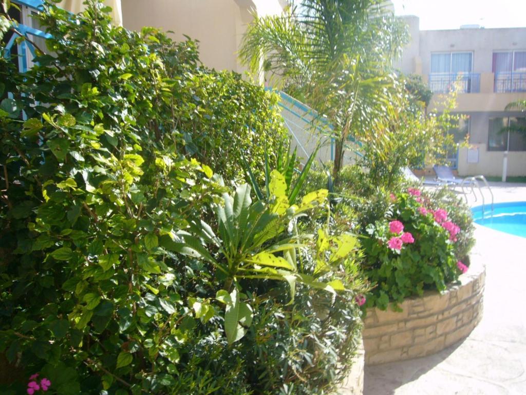 Blue Oasis Gardens Appartement Limasol Buitenkant foto