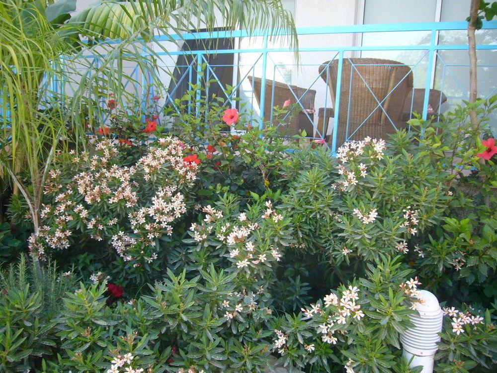 Blue Oasis Gardens Appartement Limasol Buitenkant foto